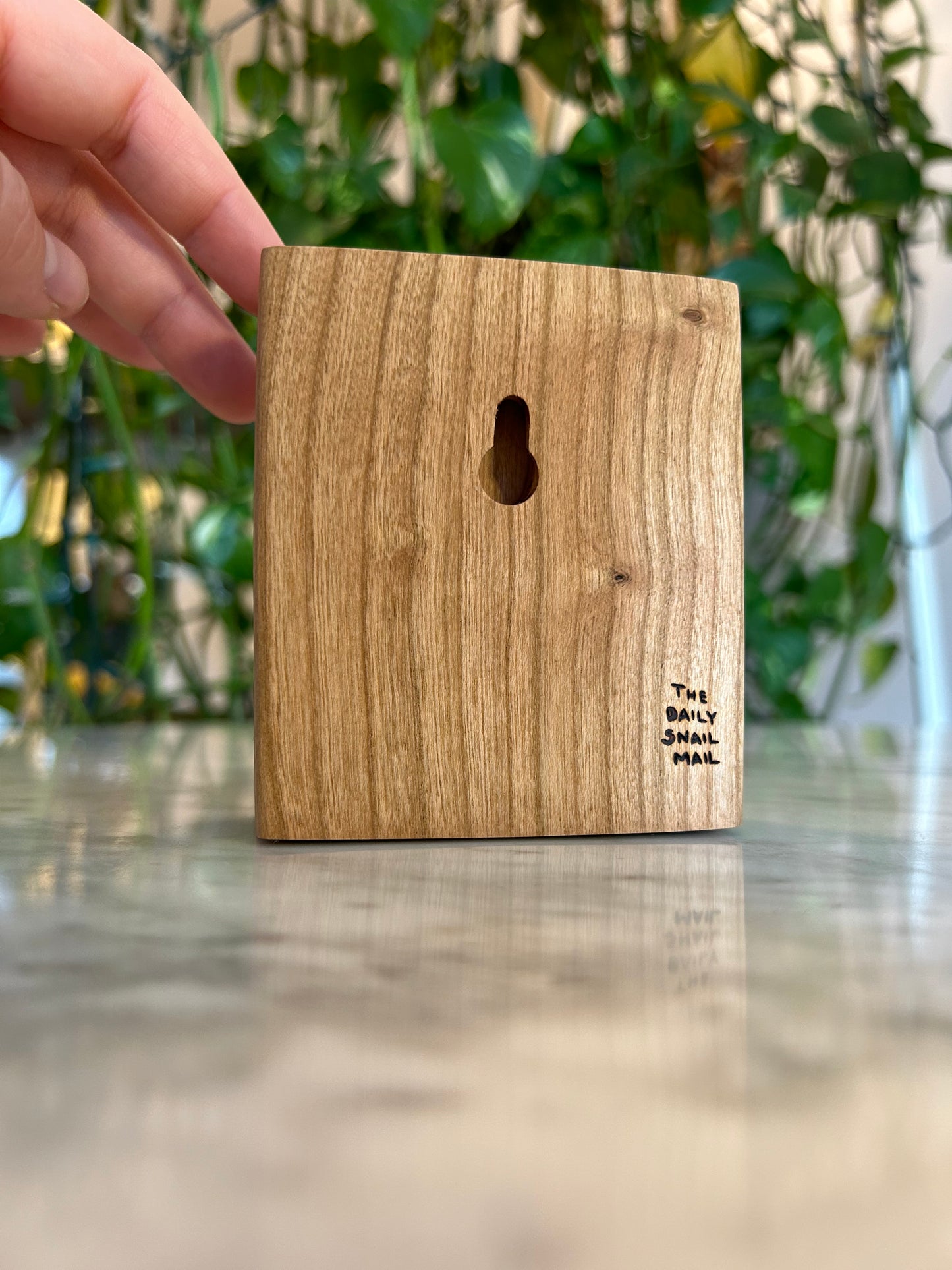 Fiddle Leaf Fig | Pyrography mixed media on cherry wood