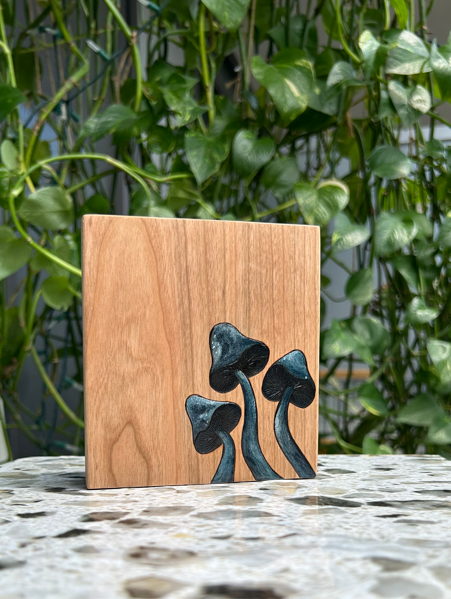 Midnight Mushrooms (Large) | Pyrography mixed media on cherry wood