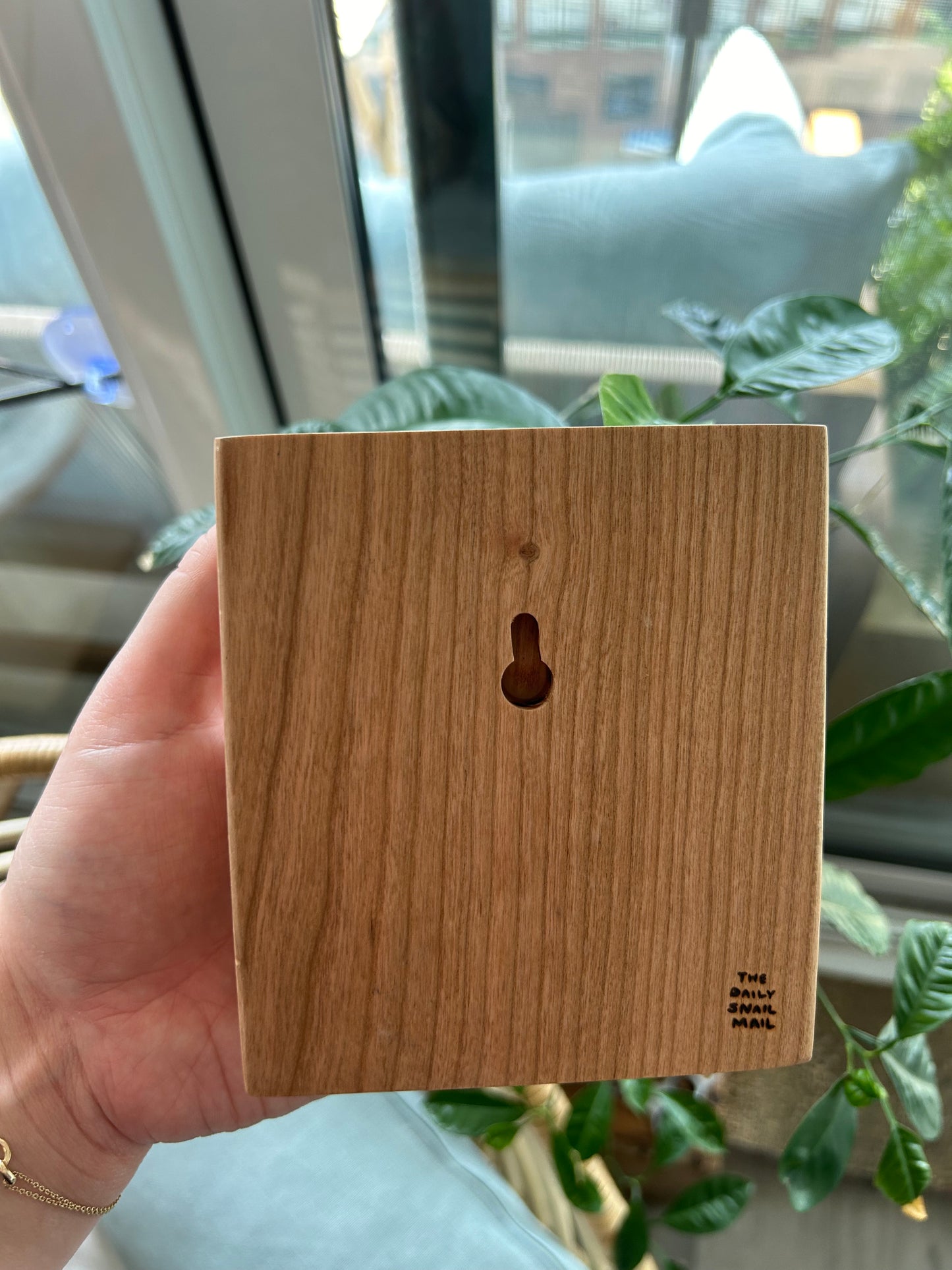 Cactus (Large)| Pyrography mixed media on cherry wood