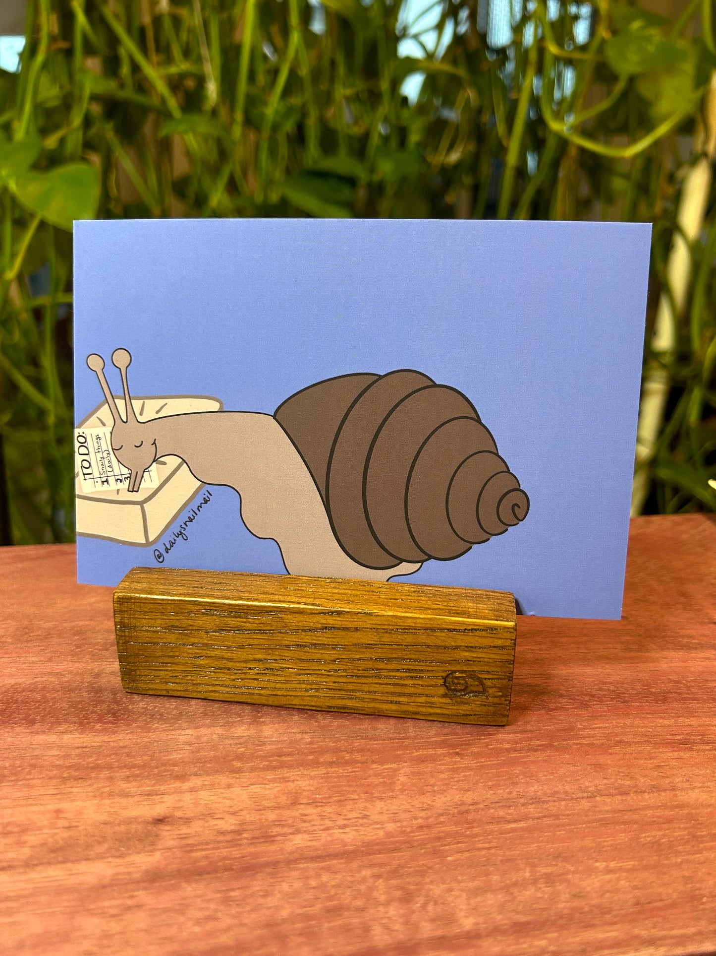 Daily Snail Mail Postcard Pack