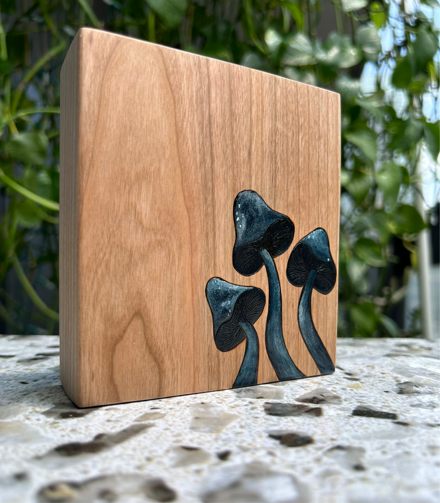 Midnight Mushrooms (Large) | Pyrography mixed media on cherry wood