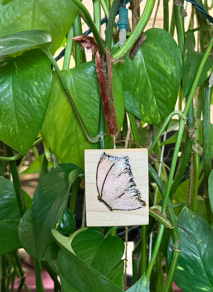 Butterfly Ornament