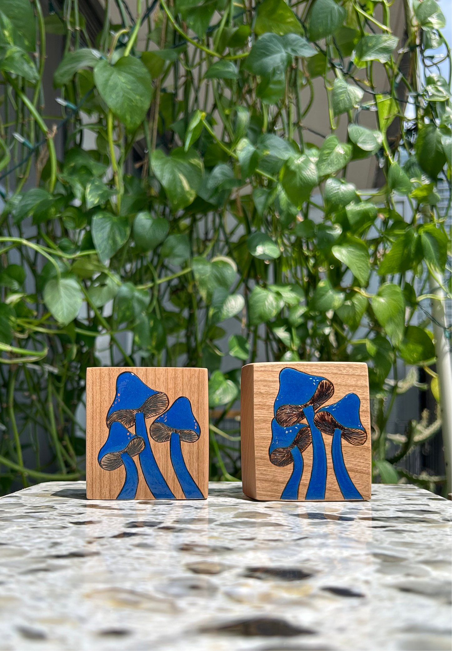 Bold Blue Mushrooms | Pyrography mixed media on cherry wood