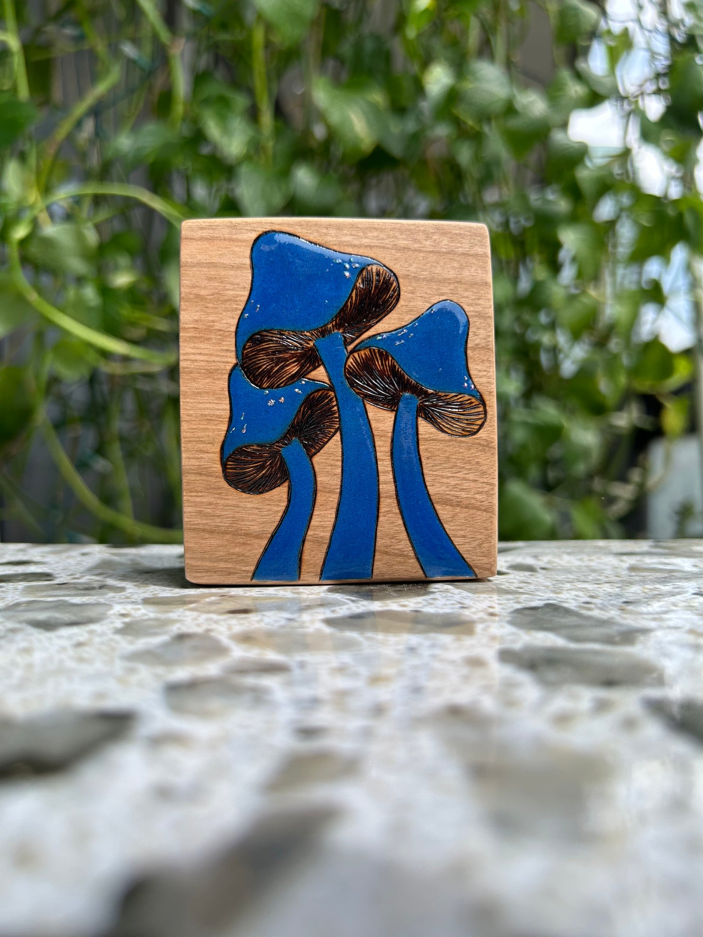 Bold Blue Mushrooms | Pyrography mixed media on cherry wood