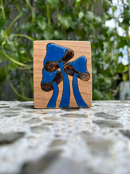 Bold Blue Mushrooms | Pyrography mixed media on cherry wood