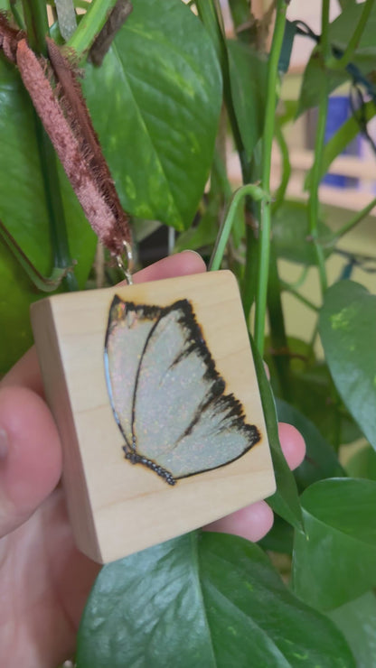 Butterfly Ornament