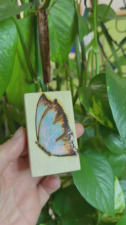 Butterfly Ornament